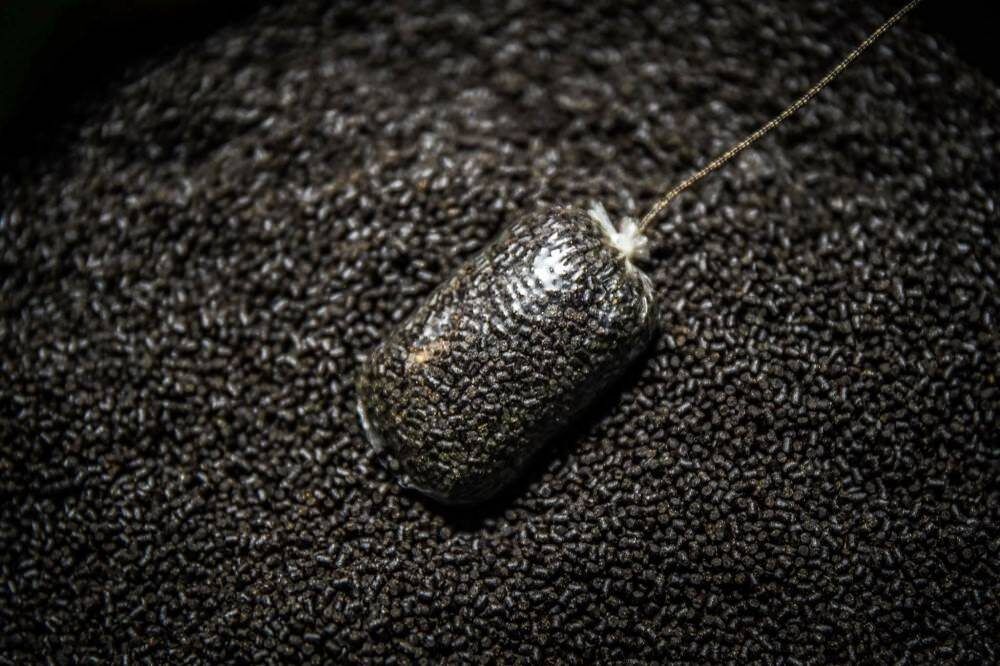 SHIMANO Isolate Pellet HP, Augstas uzturvērtības peletes 2mm , 4mm , 6mm , 8mm