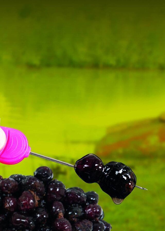 Dynamite Frenzied Black Tiger Nuts, Gatavi melni tīģerrieksti burkā - 500ml