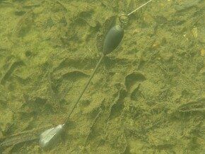 KORDA Marker Stem, Marķiera kātiņš