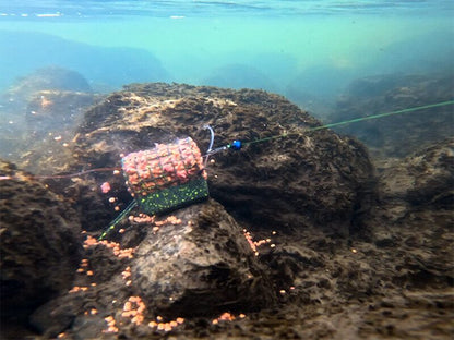 Barotava Delphin RiverSTIX