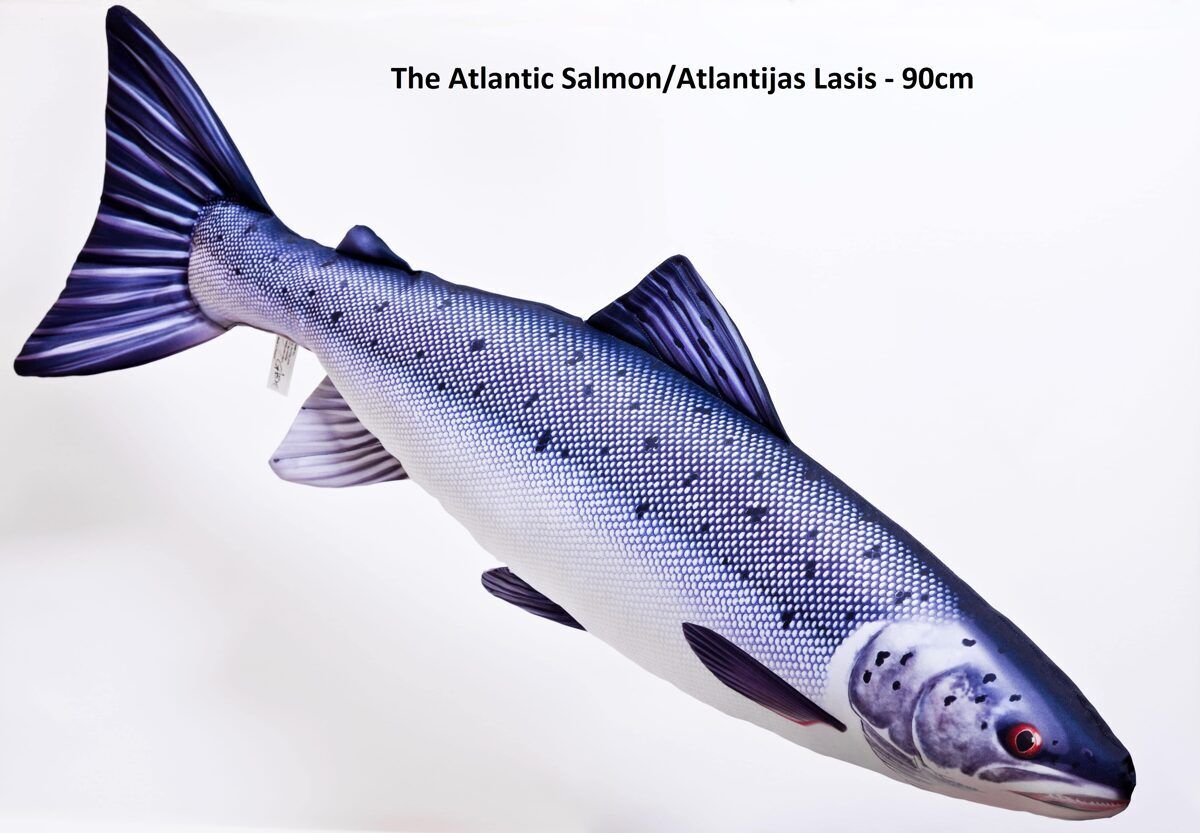 Spilvens lasis 90cm / Salmon pillow 90cm