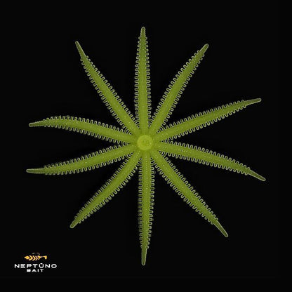 NEPTUNO BAIT Octopus / Astoņkājis 3" (dažādu izmēru gumijas, paredzētas asaru un citu plēsīgo zivju makšķerēšanai)