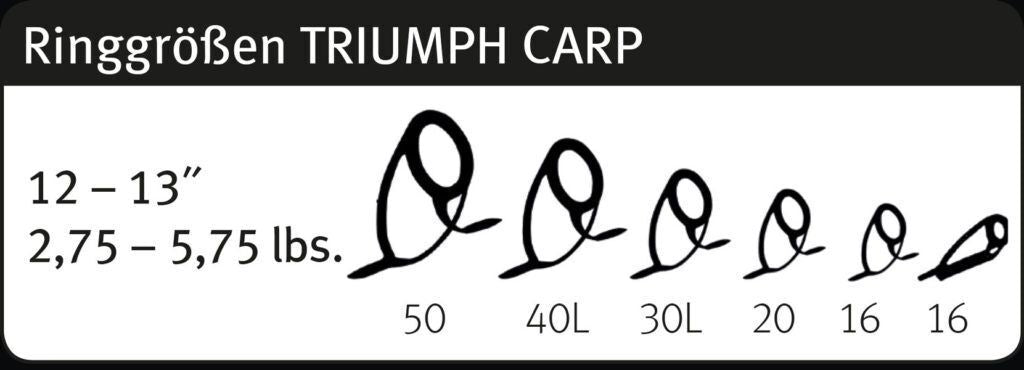 SPORTEX Triumph  Carp, Karpu makšķerkāti 13ft/3,9m , 4-7oz