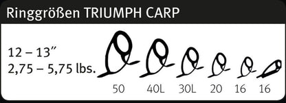 SPORTEX Triumph  Carp, Karpu makšķerkāti 13ft/3,9m , 4-7oz