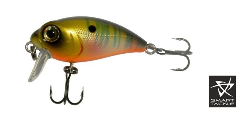 Vobleris KOSADAKA «Roger SURF» 36F