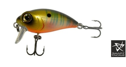 Vobleris KOSADAKA «Roger SURF» 36F