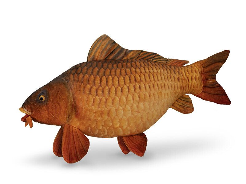 Spilvens Delphin CARPY Plush Carp