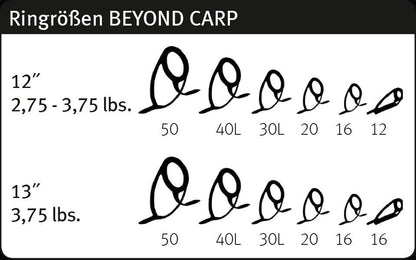 SPORTEX Beyound Carp, Premium karpu makšķerkāts