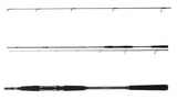 Spinings DAIWA Seahunter X Seatrout 3.10m 10-40g lašu spinings