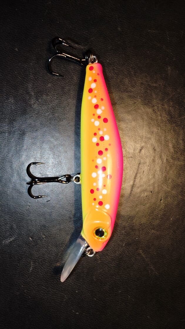 Ekskluzīvs krāsojums Pontoon21 Crack Jack 78SP MR (pārkrāsots Latvijā)