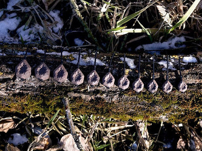 Svins Delphin CyberBARBED