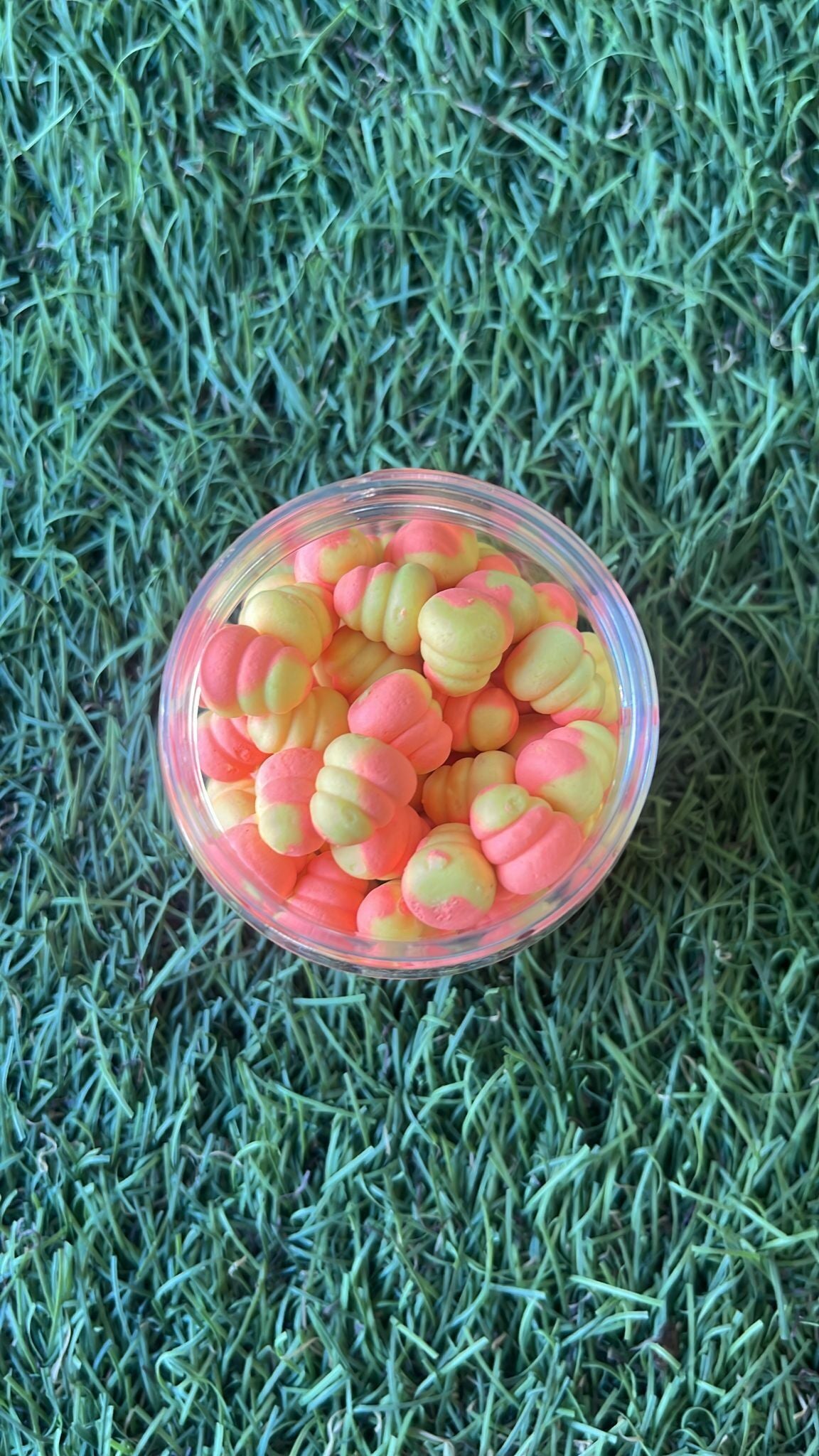 Pasaules čempionu boilas BoilieLab BoilasLV PopUp Gliemezītis / Shell Rozā/oranžs