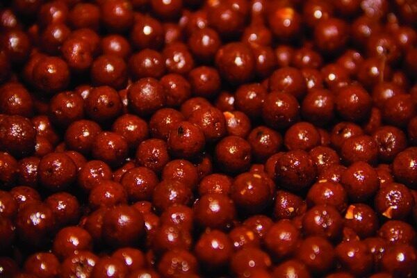 The Source Boilies 20mm, Source Boilas no Dynamite - 1kg