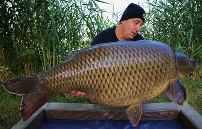 Dynamite baits 15mm Hot Fish & GLM Boilas, Asās boilas ar GLM 1kg