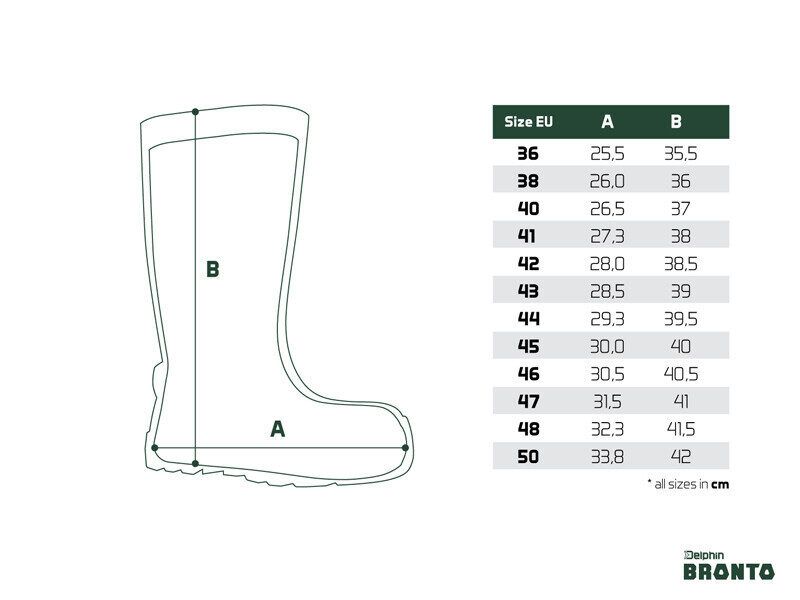 Zābaki Delphin BRONTO