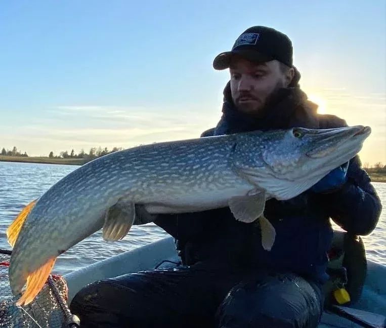 Fin Custom Lures Vip Pro Pike