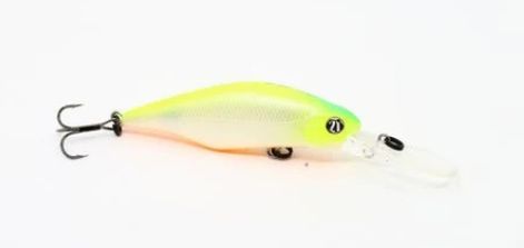 Pontoon21 Chaos 72F DR