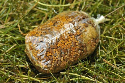 Korda - Solidz Slow melt PVA Bags - PVA maisi lēni kūstoši dažādi izmēri