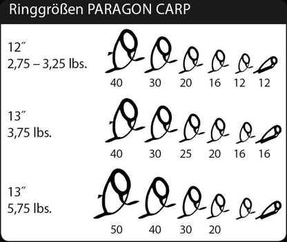 SPORTEX Paragon CS-2, STALKER Karpu makšķerkāti 10ft/3m
