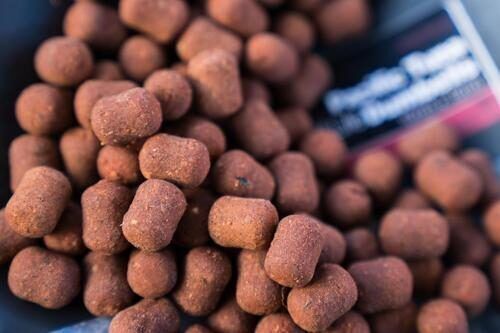 CCmoore Pacific Tuna dumbells, Tunča boilas 10x15mm un 15x18mm 5kg
