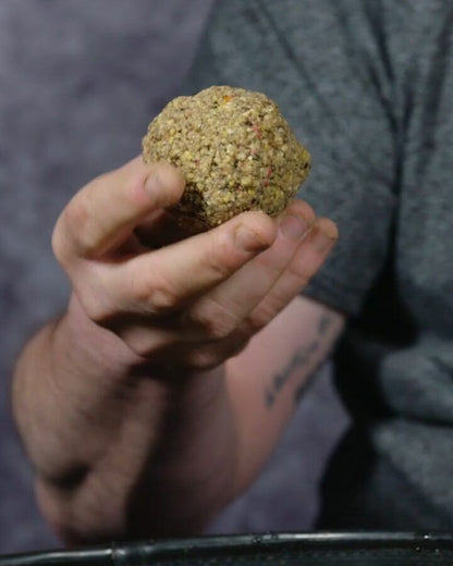 DAIWA Big Carp Fishmeal groundbait, Malta barība lielām karpām- IZPĀRDOŠANA