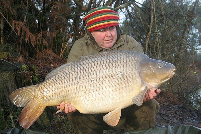 KORDA Kurv shank XX izliektie āķi