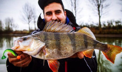 Monkey Lures King Lui 14 cm , Gumijas mānekļi - 4gab