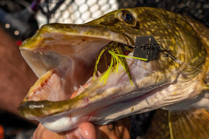 DAIWA PROREX TG BLADED JIG VIB BAIT / Māneklis asaru un līdaku copei