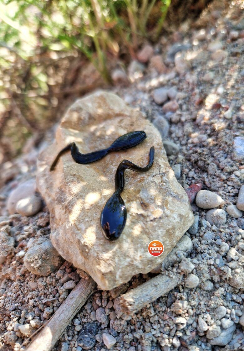 NEPTUNO BAIT Buožgalvis / Kurkulis 1" nano jig, nano džiga gumijas visa veida zivju makšķerēšanai