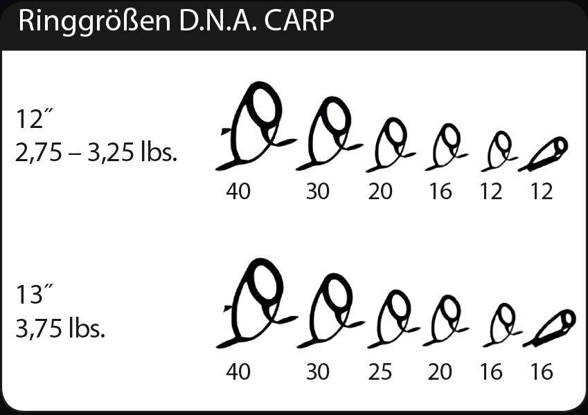 SPORTEX D.N.A. CS-2 Karpu makšķerkāti 12ft/3,6m