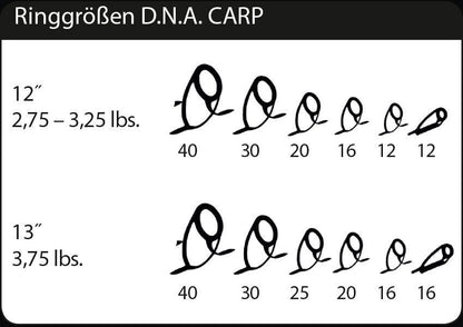 SPORTEX D.N.A. CS-2 Karpu makšķerkāti 12ft/3,6m