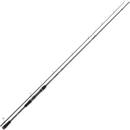 DAIWA Ballistic Sea Trout 10-40g 2,85m 3,1m