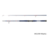 Jūras spinings Delphin FYORD BigBOAT 200cm / 300-400g
