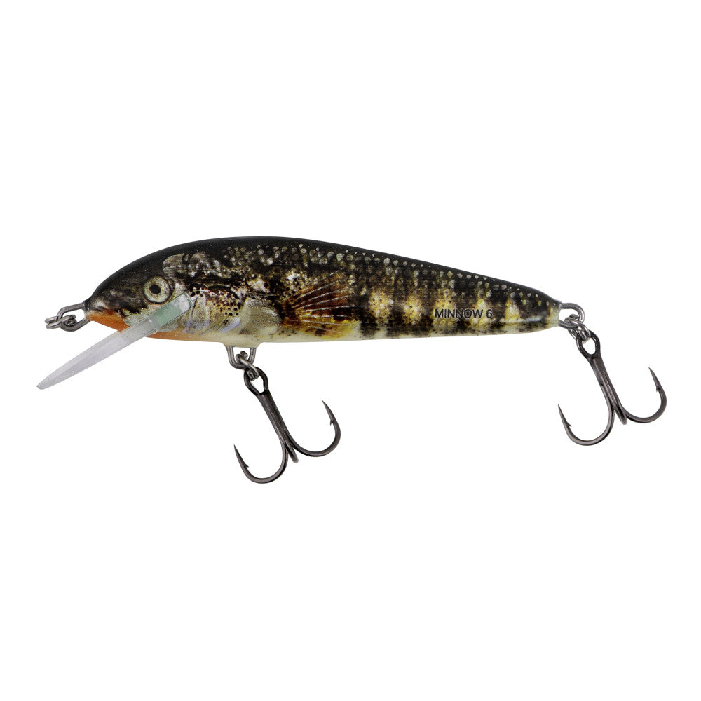 Vobleris Salmo Minnow 6cm Floating